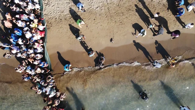 Muğla'da Deniz Kaplumbağaları Cumhuriyet Coşkusuyla Denizle Buluştu