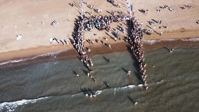 Muğla'da Deniz Kaplumbağaları Cumhuriyet Coşkusuyla Denizle Buluştu