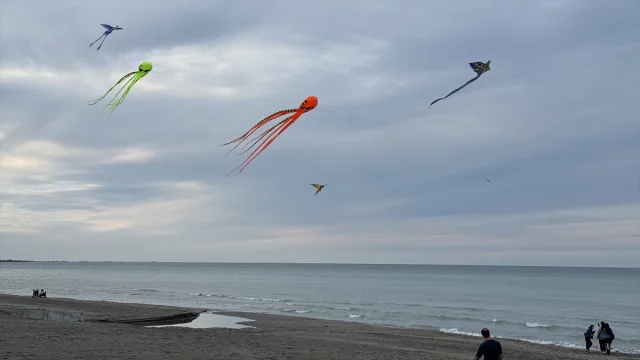 Samsun'da Uçurtma Festivali Rüzgar Estirdi