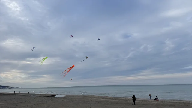 Samsun'da Uçurtma Festivali Rüzgar Estirdi