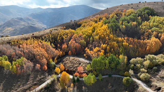 Muş'ta Sonbaharın Büyüsünü Keşfeden Gençler: Bağlar Bölgesin...