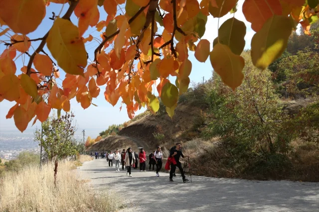 Muş'ta Sonbaharın Büyüsünü Keşfeden Gençler: Bağlar Bölgesinde Unutulmaz Bir Yürüyüş