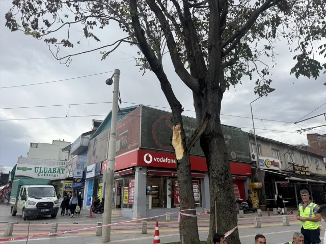 Bursa'da Lodos Fırtınası Hayatı Felç Etti