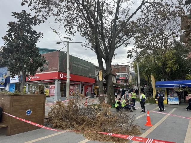 Bursa'da Lodos Fırtınası Hayatı Felç Etti