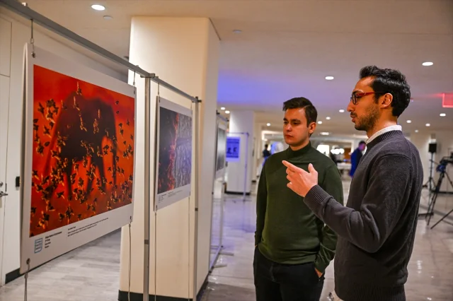 İstanbul Photo Awards 2025: Birleşmiş Milletler'de Büyük Açılış Töreni