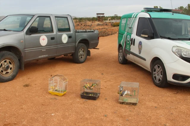 Kırşehir'de şaşırtan olay koruma altındaki 66 kuş bir depoda...