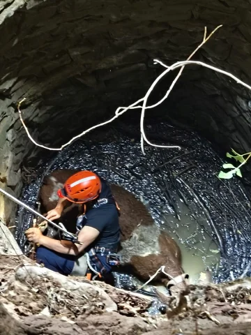 Siirt'te Kuyudaki İneği Kim, Nasıl Kurtardı?