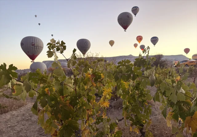 Kapadokya'nın Güzellliklerini Keşfedin: Sonbahar Renkleri ve Balon Turları