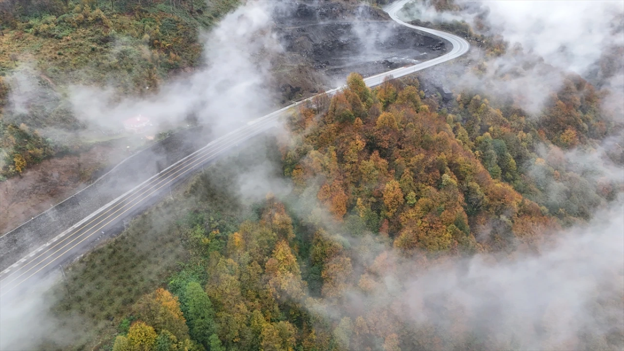 Ordu'da Sonbaharın Gizemi Sisle Buluştu