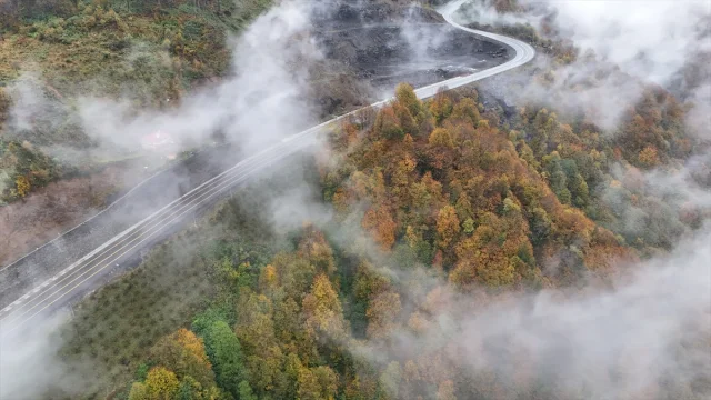 Ordu'da Sonbaharın Gizemi Sisle Buluştu