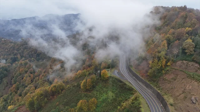 Ordu'da Sonbaharın Gizemi Sisle Buluştu