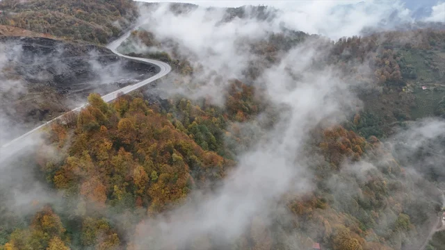 Ordu'da Sonbaharın Gizemi Sisle Buluştu