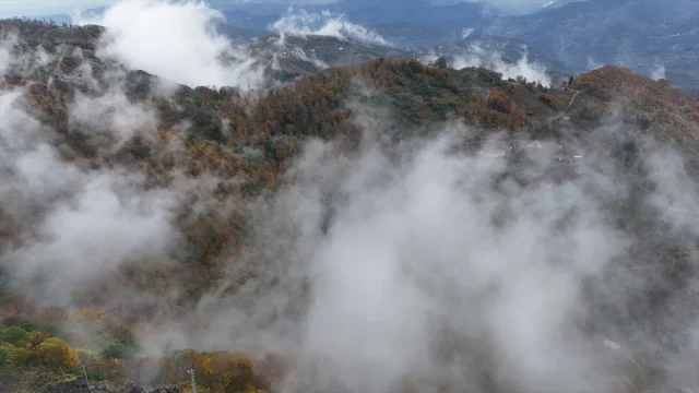 Ordu'da Sonbaharın Gizemi Sisle Buluştu