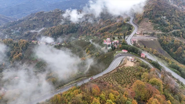 Ordu'da Sonbaharın Gizemi Sisle Buluştu