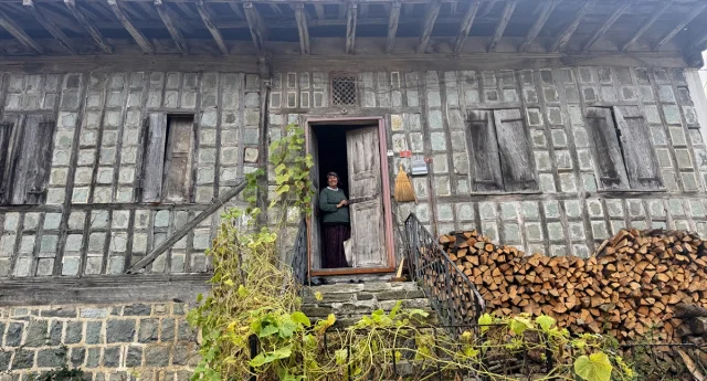 Artvin Arılı Köyü: Geleneksel Mimariyle Açık Hava Müzesi