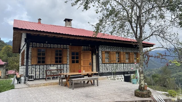 Artvin Arılı Köyü: Geleneksel Mimariyle Açık Hava Müzesi
