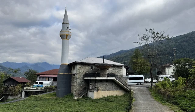 Artvin Arılı Köyü: Geleneksel Mimariyle Açık Hava Müzesi