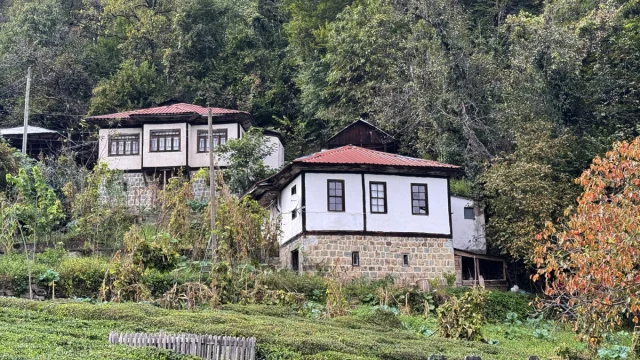 Artvin Arılı Köyü: Geleneksel Mimariyle Açık Hava Müzesi