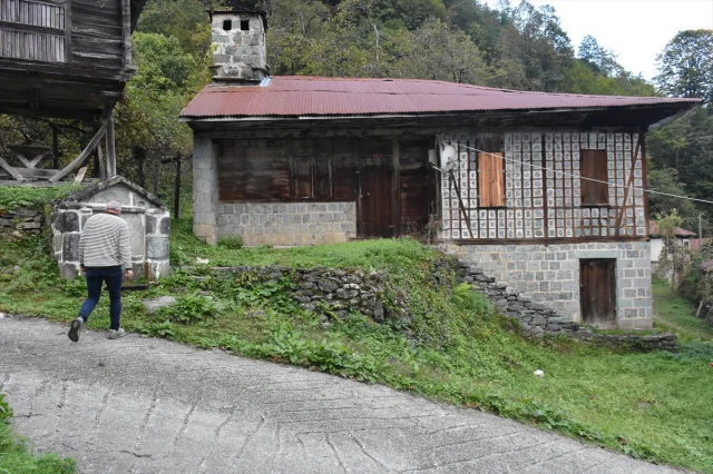 Artvin Arılı Köyü: Geleneksel Mimariyle Açık Hava Müzesi