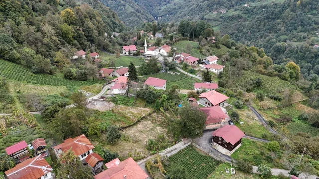 Artvin Arılı Köyü: Geleneksel Mimariyle Açık Hava Müzesi
