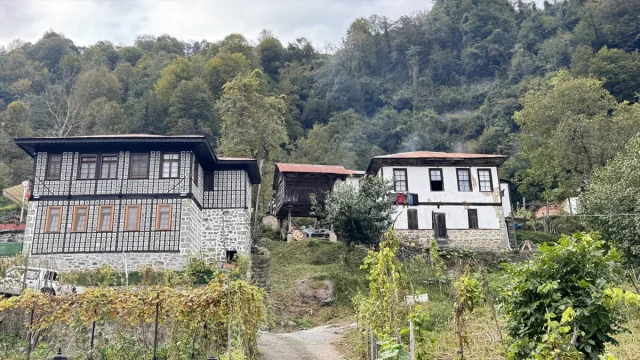 Artvin Arılı Köyü: Geleneksel Mimariyle Açık Hava Müzesi
