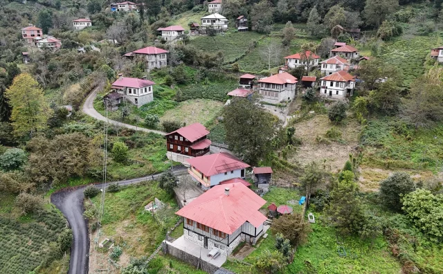 Artvin Arılı Köyü: Geleneksel Mimariyle Açık Hava Müzesi