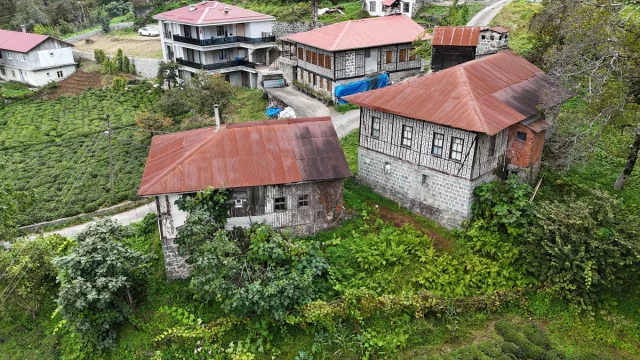 Artvin Arılı Köyü: Geleneksel Mimariyle Açık Hava Müzesi
