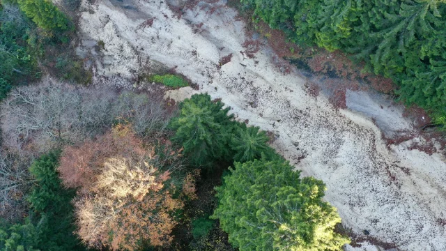 Giresun'un Dereli ilçesinde sonbaharın büyüleyici renkleri