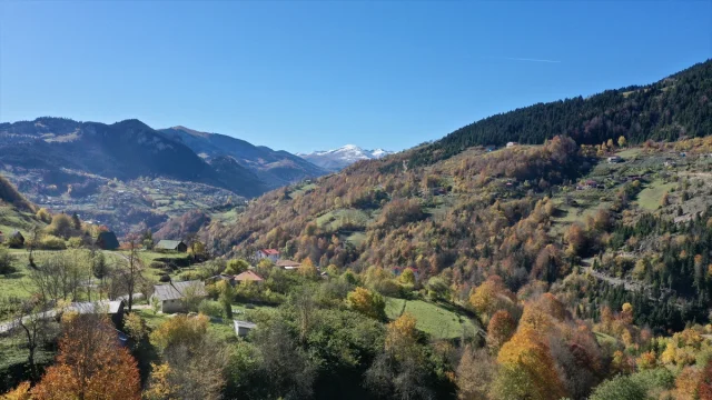 Giresun'un Dereli ilçesinde sonbaharın büyüleyici renkleri