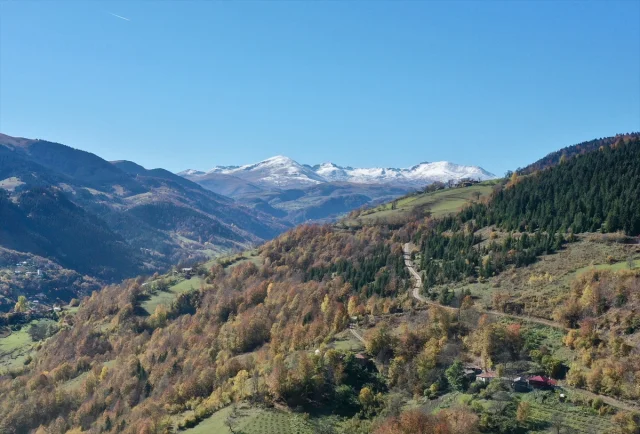 Giresun'un Dereli ilçesinde sonbaharın büyüleyici renkleri