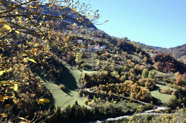 Giresun'un Dereli ilçesinde sonbaharın büyüleyici renkleri