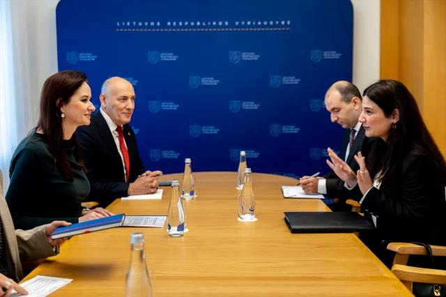 Litvanya ile Türkiye Arasında İşbirliği: Başbakan Ruginiene'...