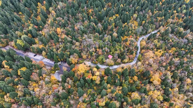 Kastamonu'da adrenalin dolu manzara: Cam terasta sonbahar büyüsü