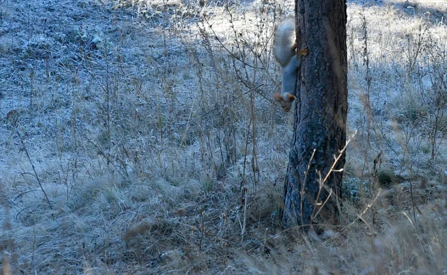 Kars'ta Soğuk Hava Her Yeri Beyaz Örtüyle Kapladı