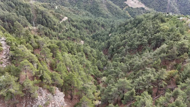 Kahramanmaraş'ta Kayıp Gençten Acı Haber Geldi