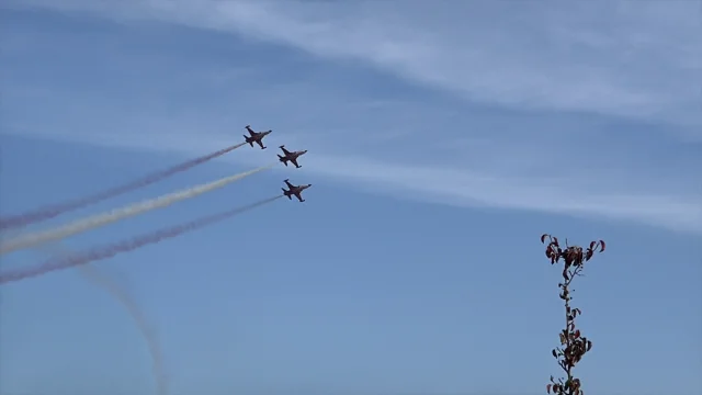 Türk Yıldızları'nın Nefes Kesen Gösterisi Büyüledi