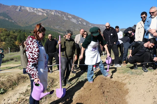 Safranbolu'da Safran İmecesiyle Gelenek Yaşatılıyor