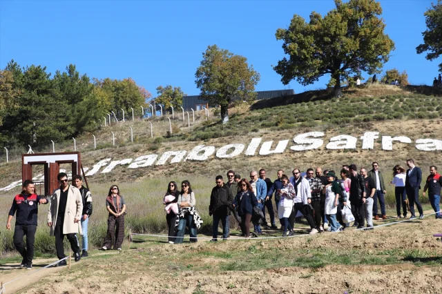 Safranbolu'da Safran İmecesiyle Gelenek Yaşatılıyor