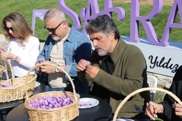 Safranbolu'da Safran İmecesiyle Gelenek Yaşatılıyor
