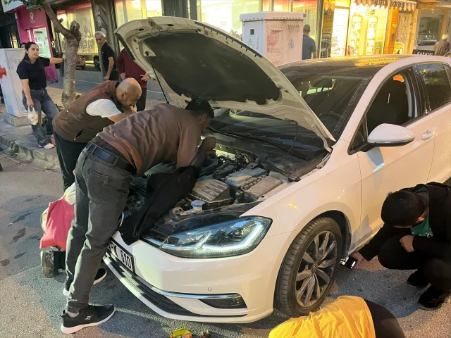 Antalya'da Minik Kedinin Hayatta Kalma Mücadelesi