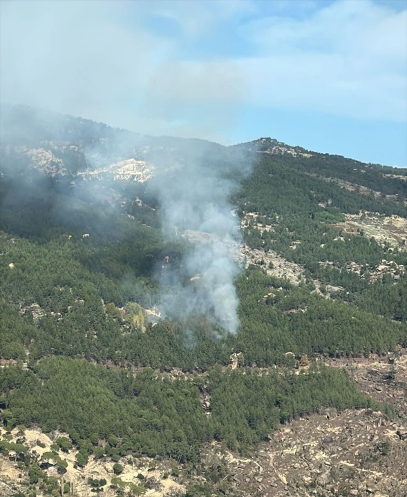 Muğla'da Orman Yangını Panik Yarattı