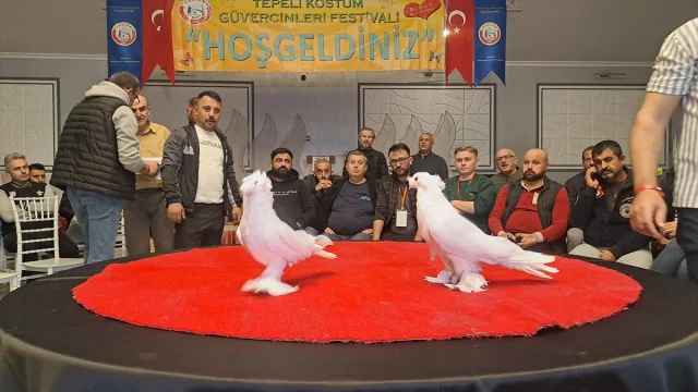 Sakarya'da Güvercin Festivali Renkli Anlara Sahne Oldu