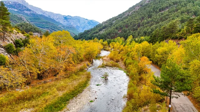 Sonbaharın Görkemli Renkleri Adana'da Görüntülendi