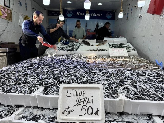 Sinop'ta Hamsi Bereketi Balık Severleri Sevindirdi