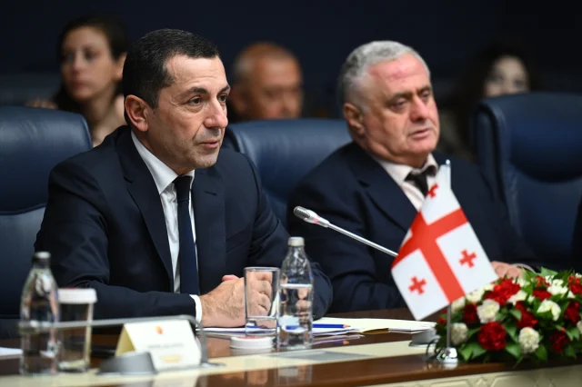 Türkiye-Gürcistan İlişkilerinde Yeni Dönem: Stratejik İşbirliği Gelişiyor