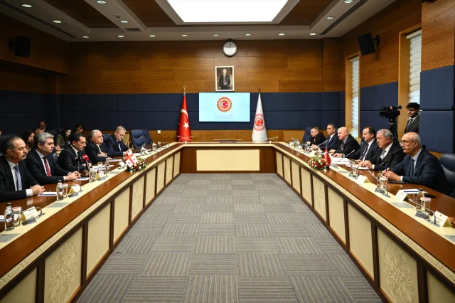 Türkiye-Gürcistan İlişkilerinde Yeni Dönem: Stratejik İşbirliği Gelişiyor
