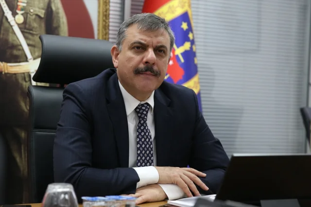 Erzurum'da Sahipsiz Hayvanların Tamamı Toplandı mı?