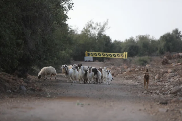 İsrail'in Suriye Sınırındaki Adımları Tepki Çekmeye Devam Ediyor