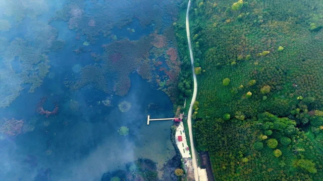 Efteni Kuş Cenneti'nde Büyüleyici Sonbahar Güzelliği