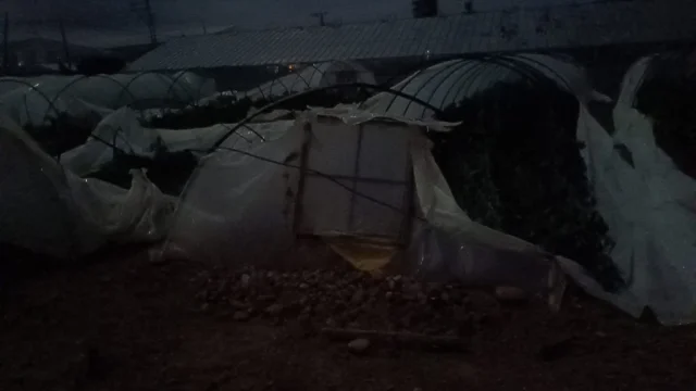 Mersin'deki Hortum Çiftçileri Zora Soktu